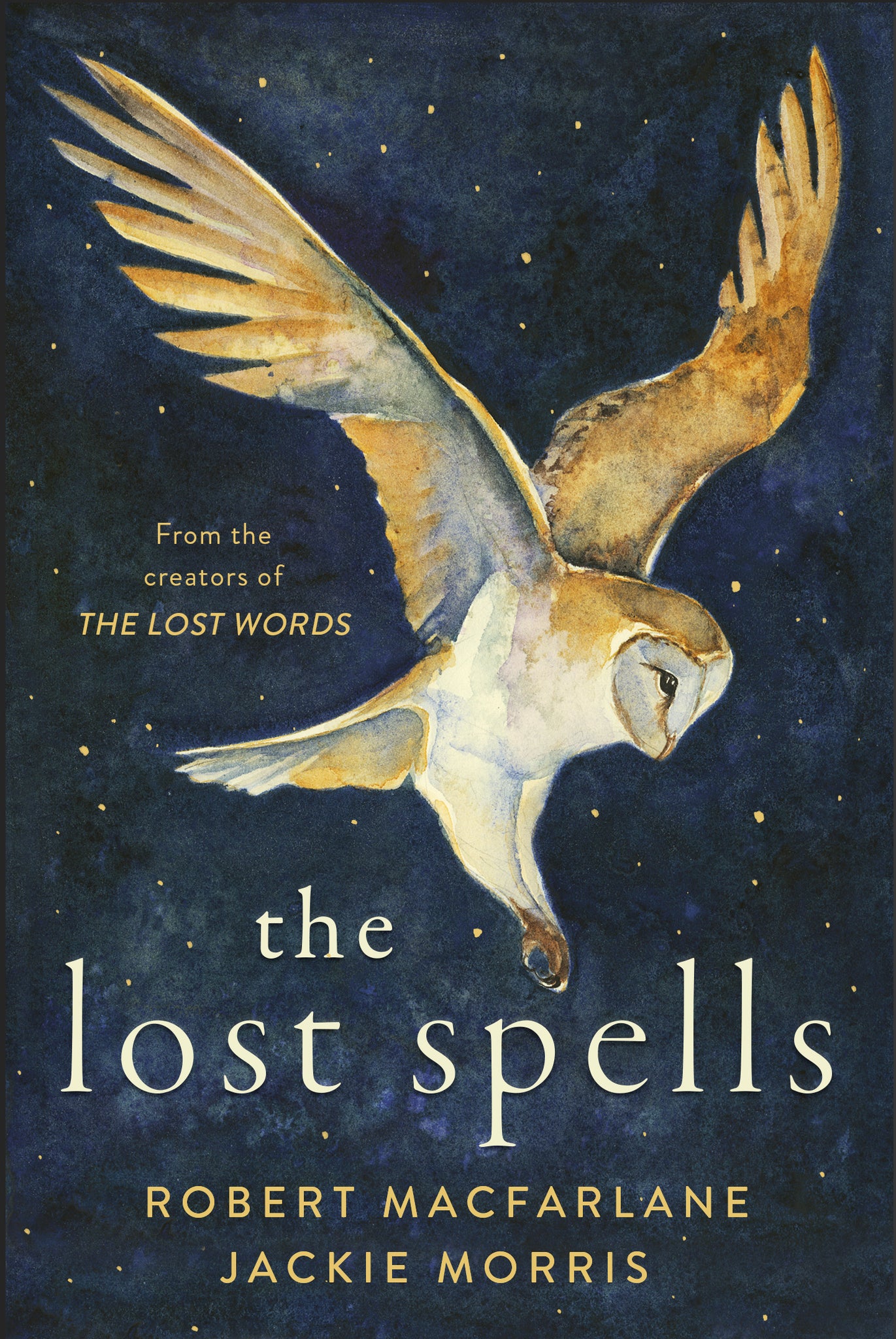 Cover image for The Lost Spells ISBN 9781487007799